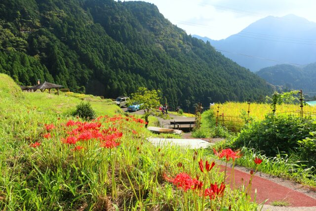 秋の里山