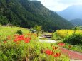 秋の里山