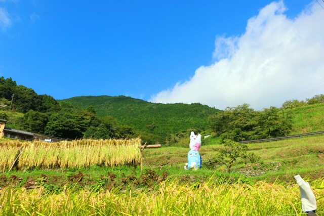 秋の里山