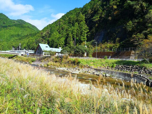 秋の里山