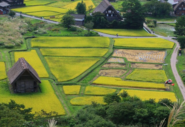 秋の白川郷