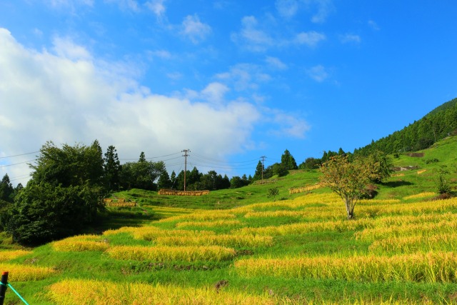 秋の里山