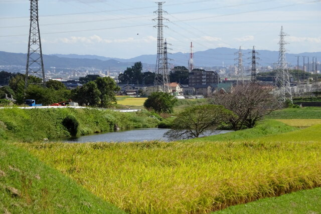 地方都市 サガン鳥栖に秋の訪れ