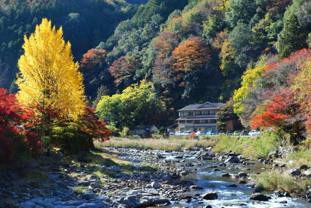 秋の香嵐渓