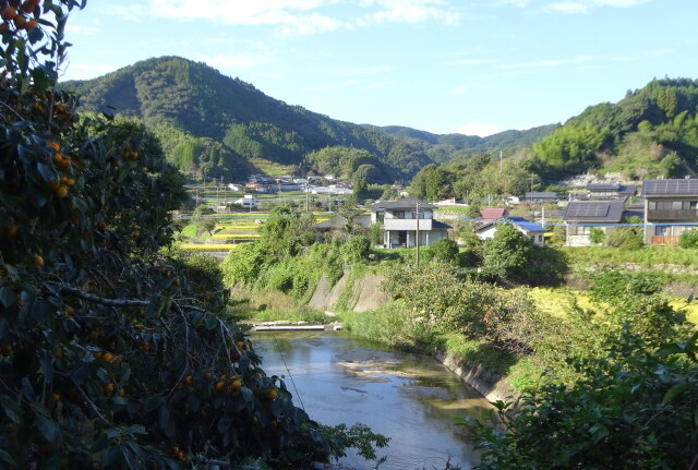 ひっそりと秋の風景