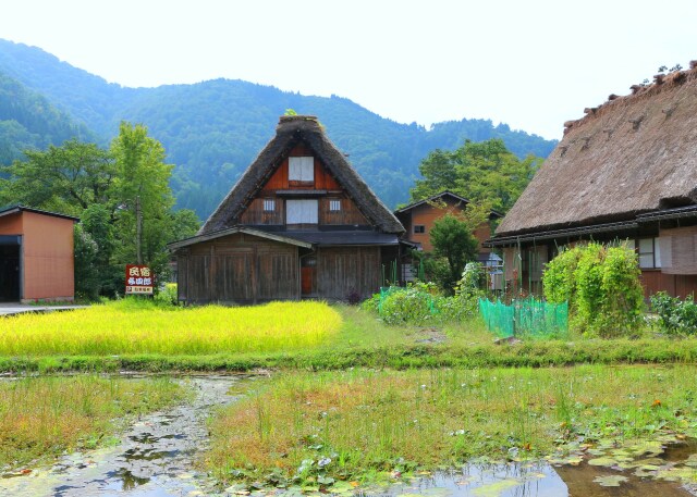 秋の白川郷