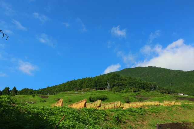 秋の里山