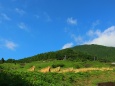 秋の里山