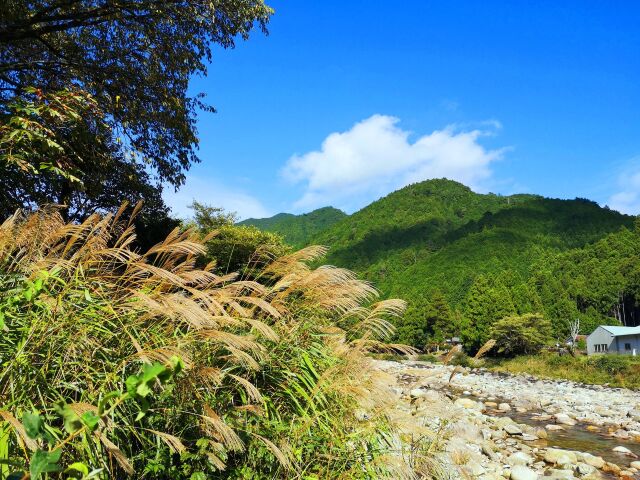 秋の里山