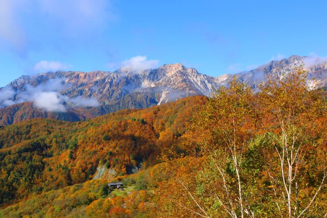 秋の栂池高原