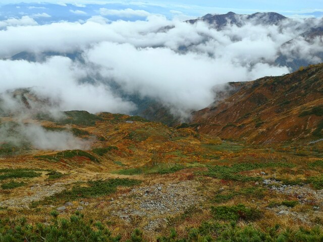 秋の八方尾根雲海