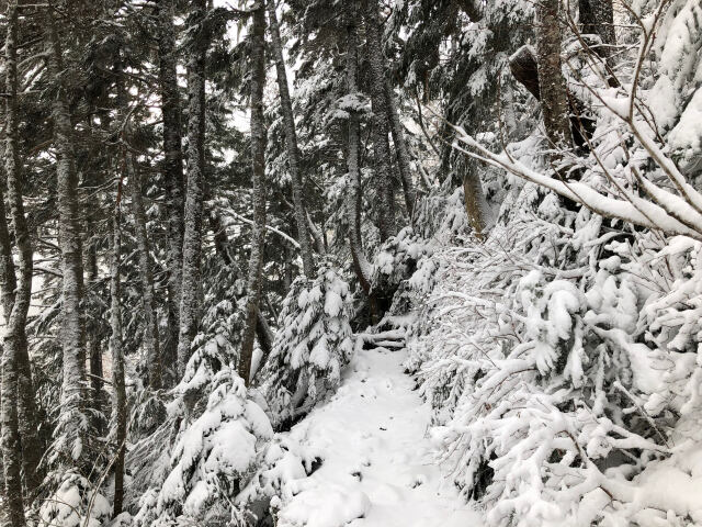 雪の山道