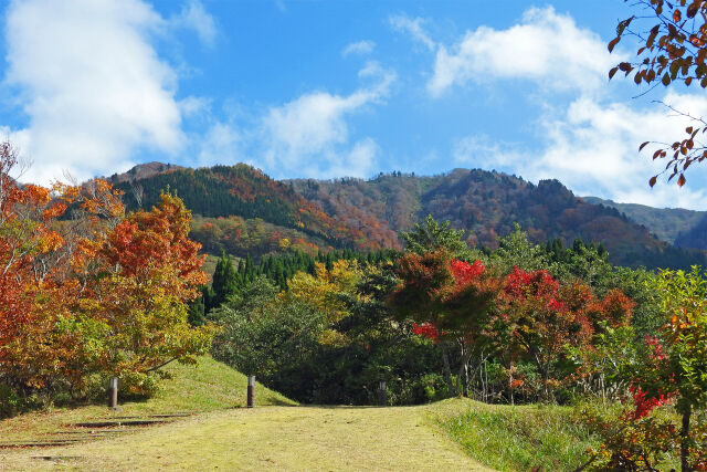 秋進む山 14