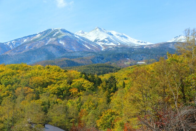 秋の乗鞍高原