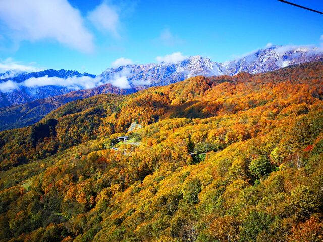 秋の栂池高原