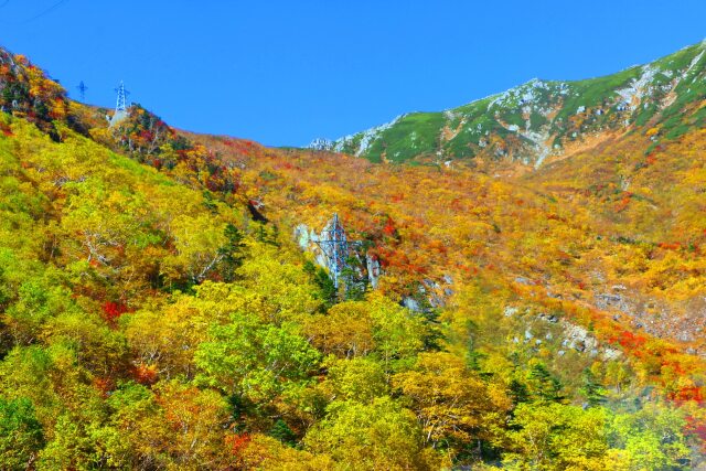 秋の駒ヶ岳ロープウェイ