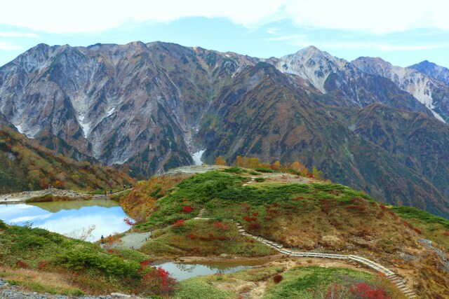 秋の八方池