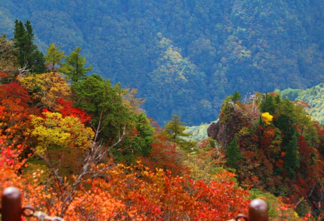 秋の大台ケ原