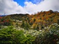 秋の栂池自然園