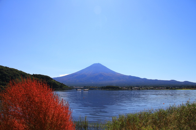 河口湖からの富士山