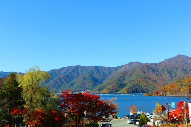 秋の河口湖