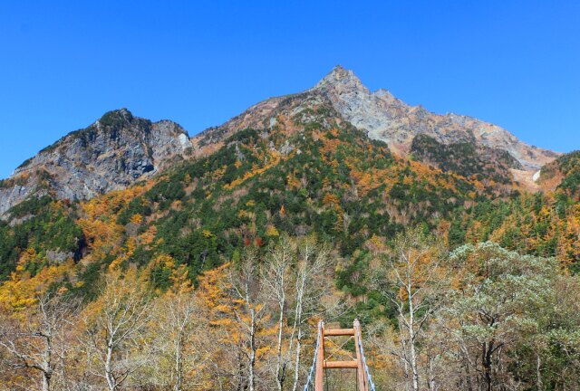 秋の明神橋