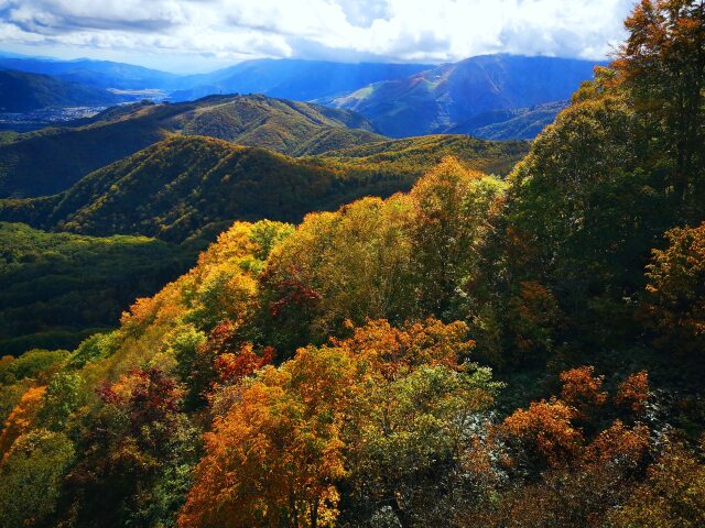 秋の栂池高原