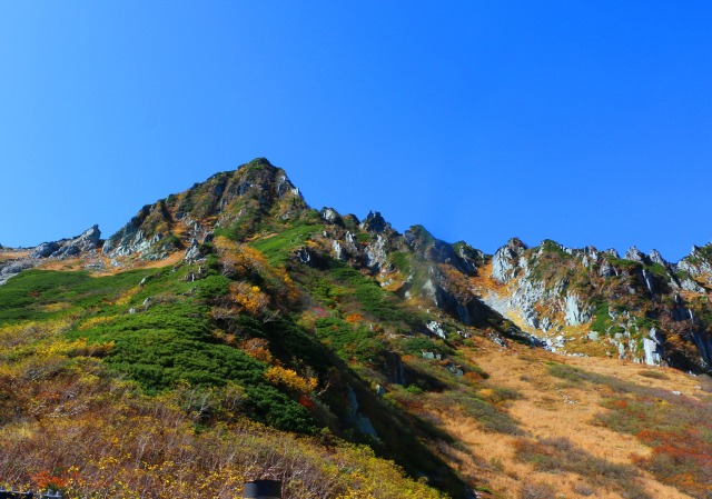 秋の駒ヶ岳