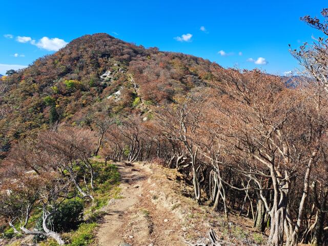 もうすぐ猫岳