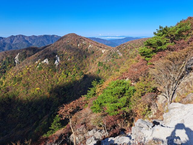 秋晴れの猫岳