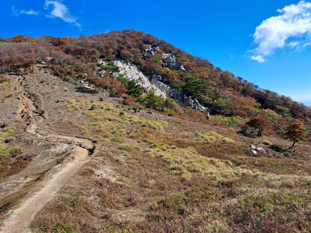 猫岳の紅葉