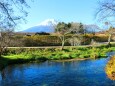 秋の忍野八海