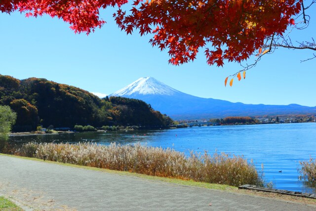 秋の河口湖