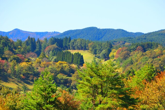 秋の青山高原