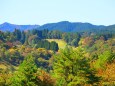 秋の青山高原