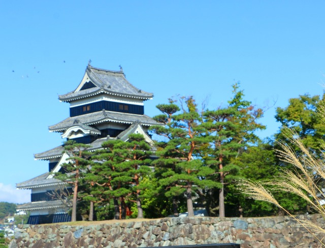 秋の松本城