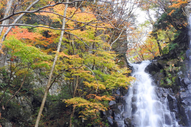 色付く季節6 紅葉の滝