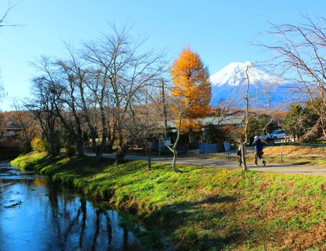 秋の忍野八海