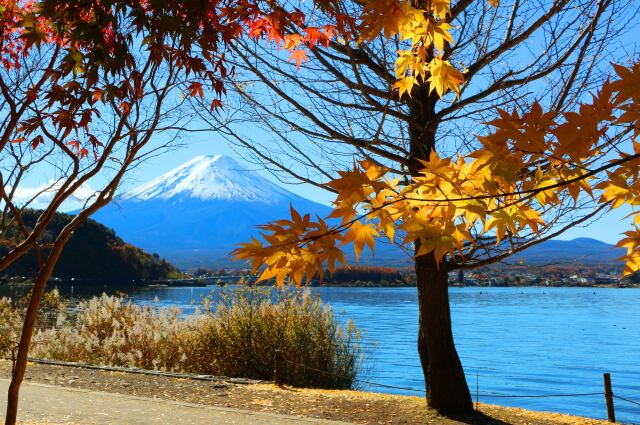 秋の河口湖