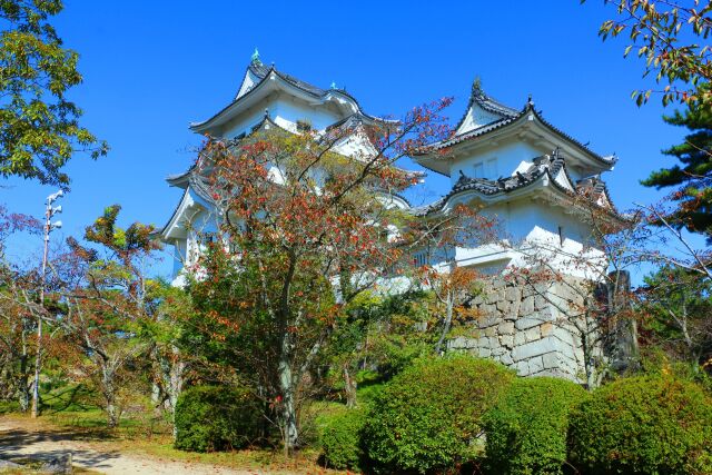 秋の伊賀上野城