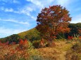 秋の乗鞍高原