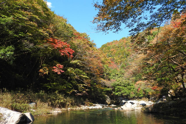 色付く季節7 紅葉の渓谷