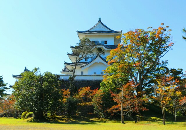 秋の伊賀上野城