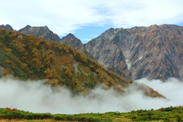 秋の八方尾根雲海