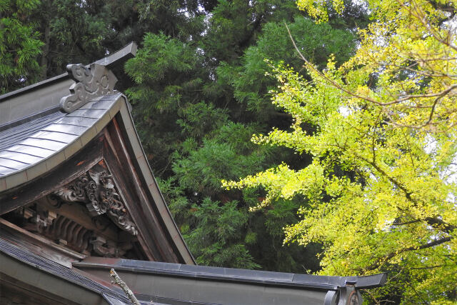 色付く季節9 山寺の秋