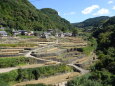 雲仙小浜の山村 静かな秋