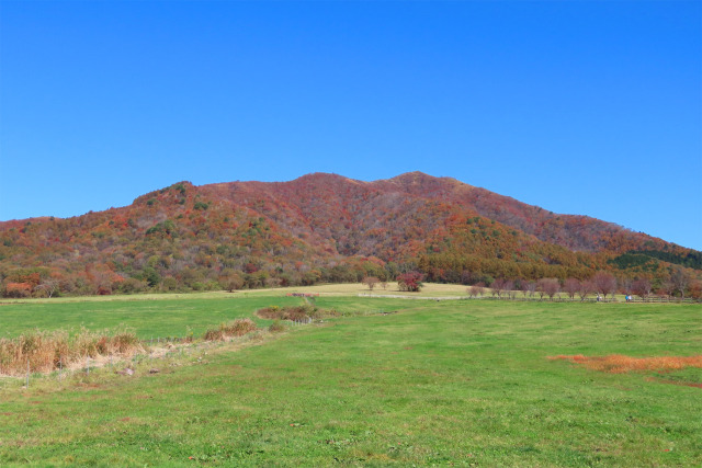 秋進む山 32 牧場と紅葉