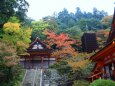 秋の談山神社