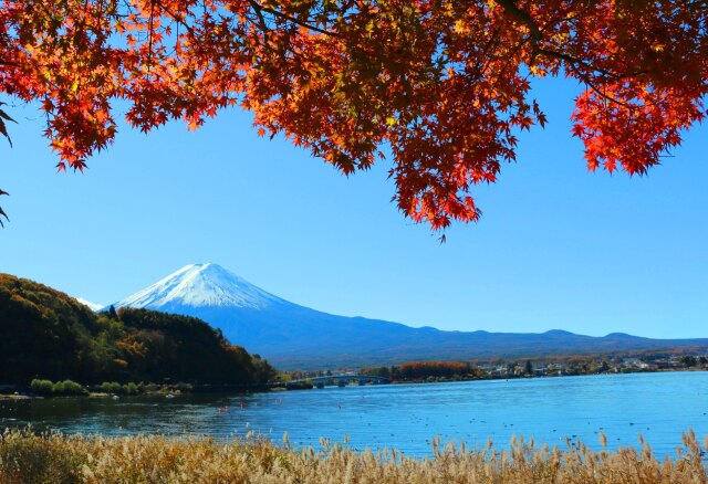 秋の河口湖