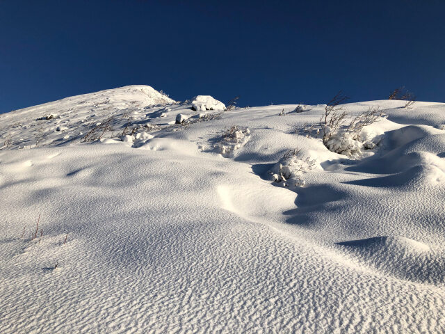 朝の新雪